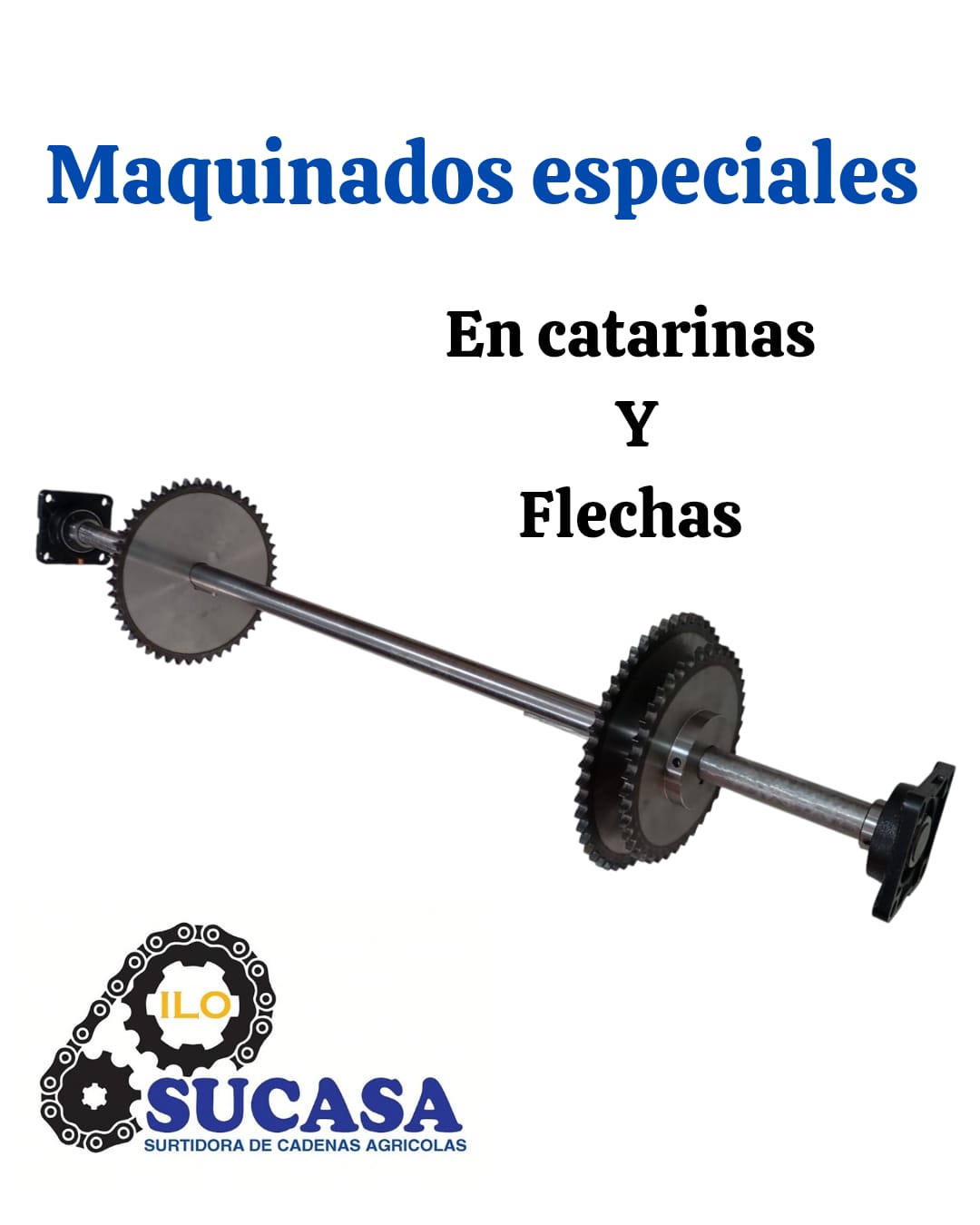 CATARINAS Y FLECHA 