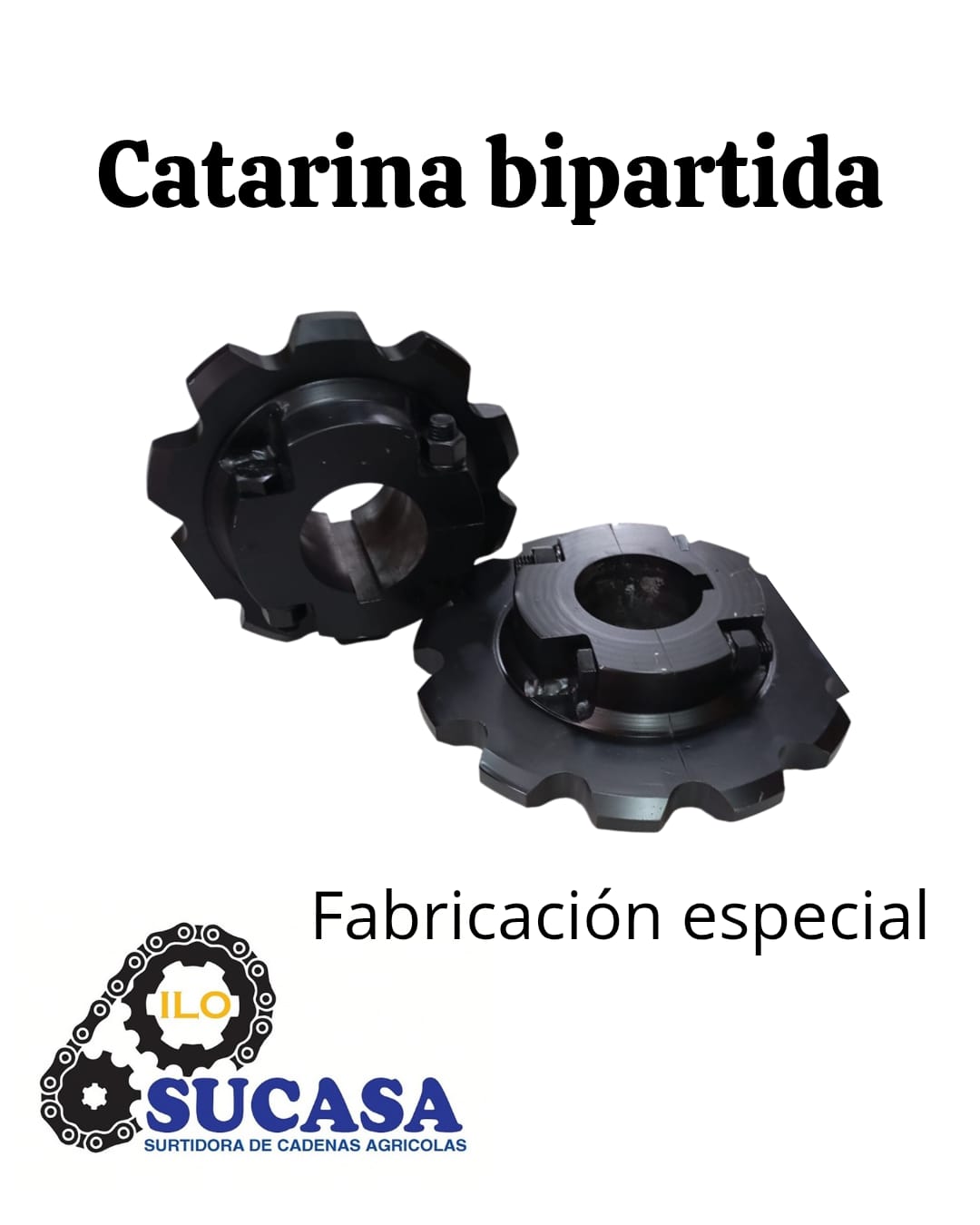 CATARINA BIBARTIDA 